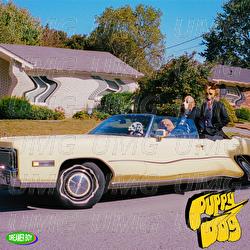 Puppy Dog - Dreamer Boy