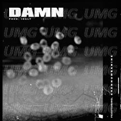 Damn - Idaly, Shennumbanine