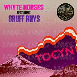 Tocyn - Whyte Horses, Gruff Rhys