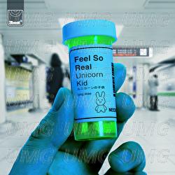 Feel So Real - Unicorn Kid