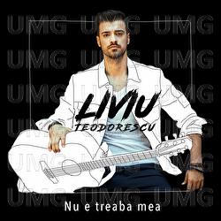 Nu e treaba mea - Liviu Teodorescu