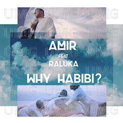 Why Habibi? - Amir