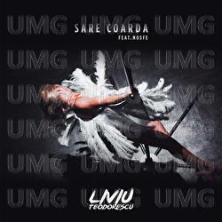 Sare coarda - Liviu Teodorescu, NOSFE