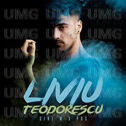 Cine m-a pus - Liviu Teodorescu