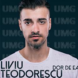Dor de ea - Liviu Teodorescu