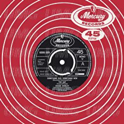 Something Old, Something New / The Gap - Susan Shirley