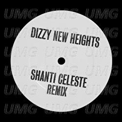 Dizzy New Heights - MJ Cole