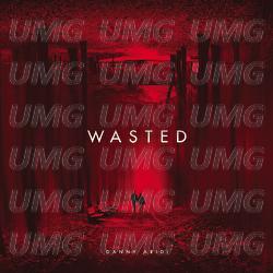 Wasted - Danny Aridi