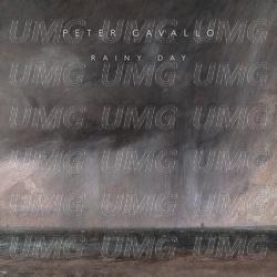 Rainy Day - Peter Cavallo