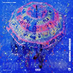 Diamonds Forever - Cry, Wally A$M