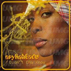 Didn't Cha Know - Erykah Badu