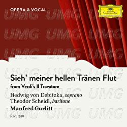 Verdi: Il Trovatore: Sieh' meiner hellen Tränen Flut - Hedwig von Debitzka, Theodor Scheidl, Various Artists