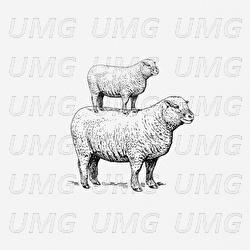 Ich lass mich klonen - Skeeniboi, CAN MIT ME$$R, symtex128