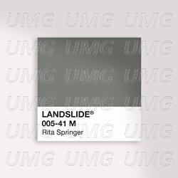 Landslide - Rita Springer