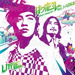 Hatsukoino -What's Going On- - Little, Tortoise Matsumoto