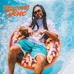 Fine - MELODOWNZ