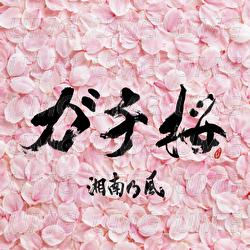 Gachizakura - Shounanno Kaze