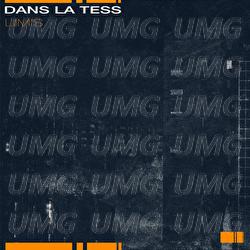 Dans la tess - Liim's