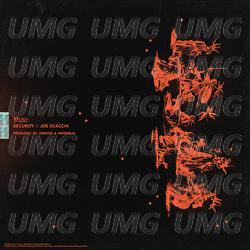 Vizio - Security, Joe Scacchi