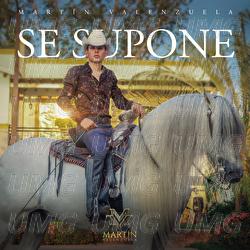 Se Supone - Mart&iacute;n Valenzuela