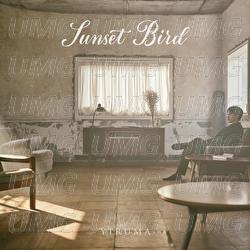 Sunset Bird - Yiruma