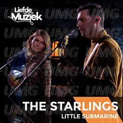 Little Submarine - The Starlings