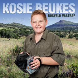Dance Monkey - Kosie Beukes