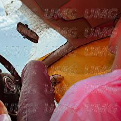 Ottobre - Nicolaj Serjotti, Generic Animal