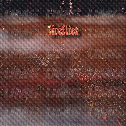 Fireflies - SALTI
