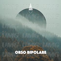 Orso bipolare -