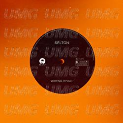 Waiting In Vain - Selton