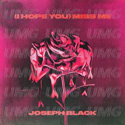 (i hope you) miss me - Joseph Black