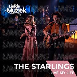 Live My Life - The Starlings