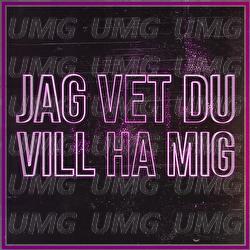 Jag Vet Du Vill Ha Mig - Unge Lama, B3nte, Tigergutt