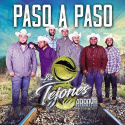 Paso A Paso - Los Tejones Del Arroyo