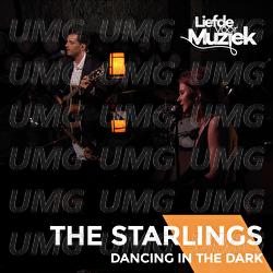 Dancing In The Dark - The Starlings