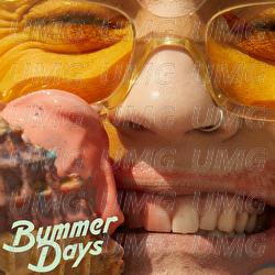 Bummer Days - Liza Anne