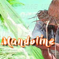 MANDOLINE - Max Telephe