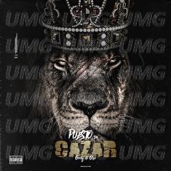 Puesto Pa Cazar - Omy De Oro