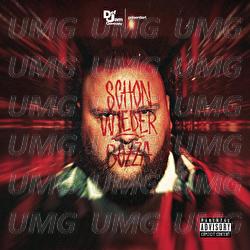 Schon wieder - Bozza