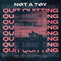 Quit Quitting - NOT A TOY