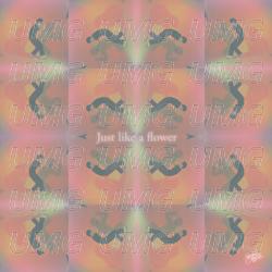 Just Like a Flower - MY Q