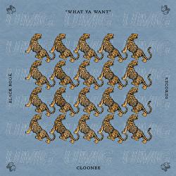 What Ya Want - Cloonee