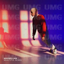 Beautiful Scars - Maximillian