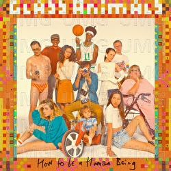 Pork Soda - Glass Animals