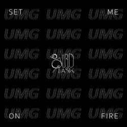Set Me On Fire - Birdmask