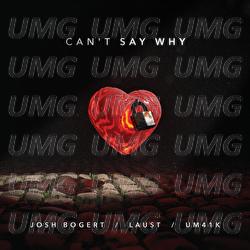 Can't Say Why - Josh Bogert, Laust, Um41k