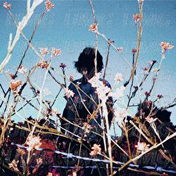Sledgehammer - Kid Bloom