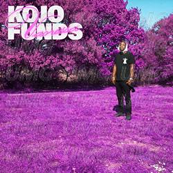 Vanessa - Kojo Funds