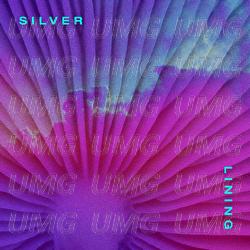 Silver Lining - New Bleach